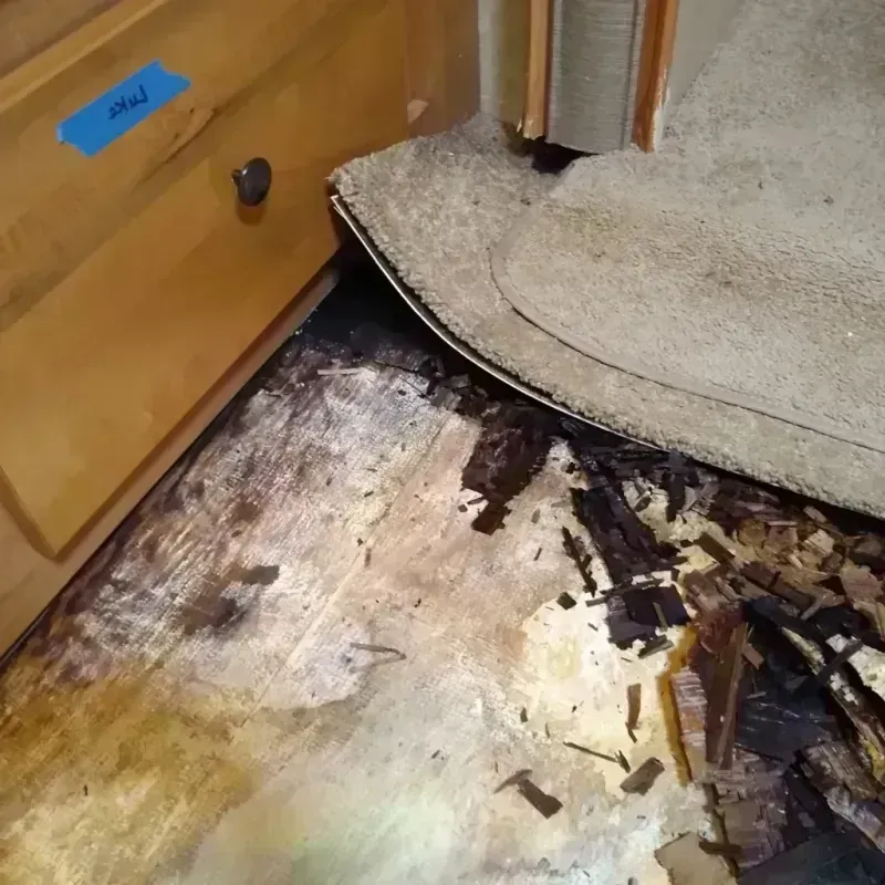 Best Wood Floor Water Damage Service in Dover, OH